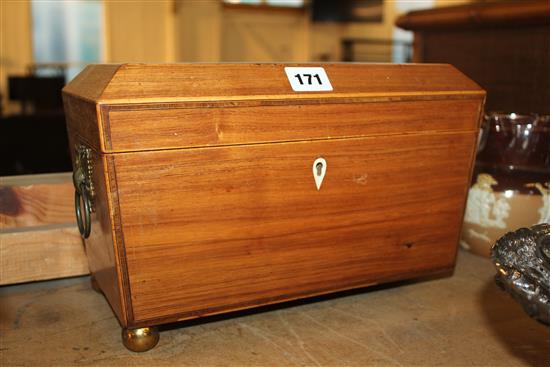 Regency banded faded rosewood tea caddy